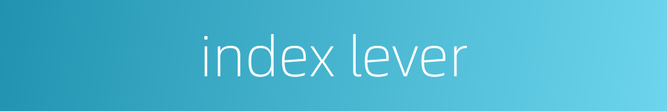 index lever的同义词