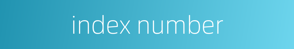 index number的同义词