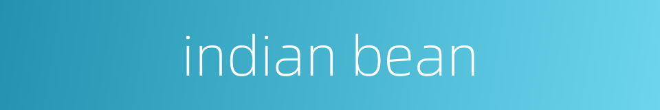 indian bean的同义词