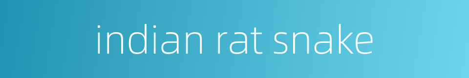 indian rat snake的同义词