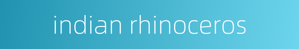 indian rhinoceros的同义词