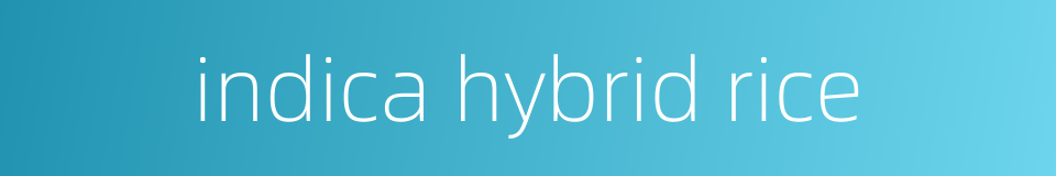 indica hybrid rice的同义词