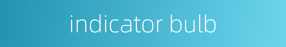 indicator bulb的同义词
