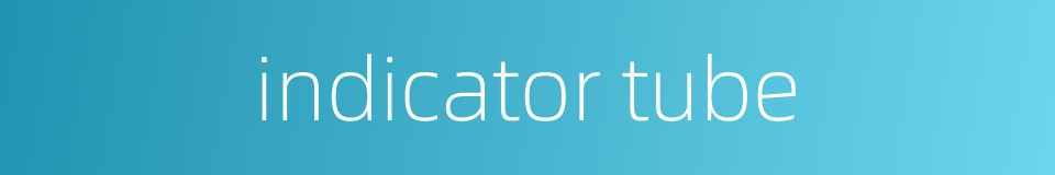 indicator tube的同义词