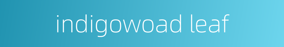 indigowoad leaf的同义词