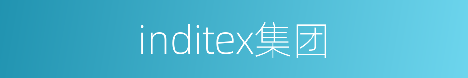 inditex集团的同义词