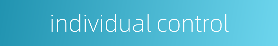 individual control的同义词