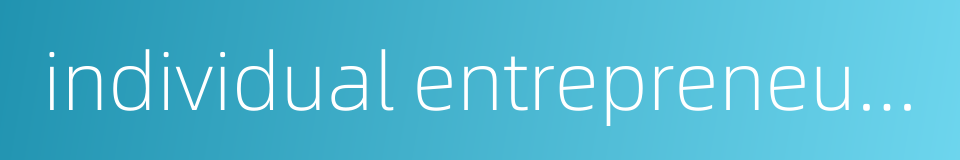 individual entrepreneurship的同义词