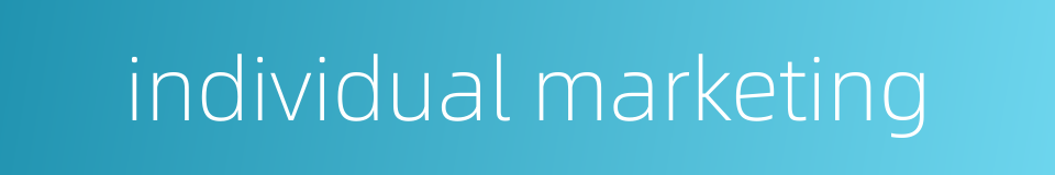 individual marketing的同义词