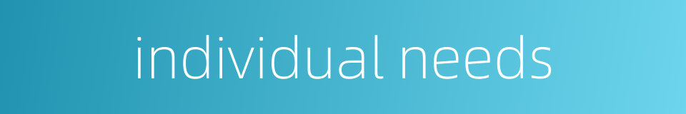 individual needs的同义词