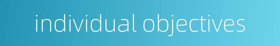 individual objectives的同义词