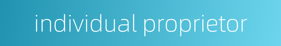 individual proprietor的同义词