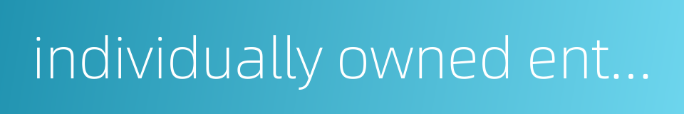 individually owned enterprise的同义词