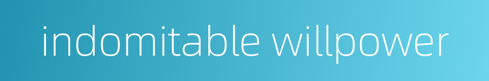 indomitable willpower的同义词