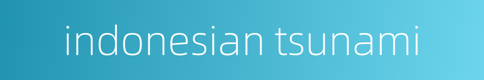 indonesian tsunami的同义词