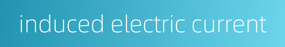induced electric current的同义词