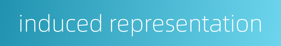 induced representation的同义词