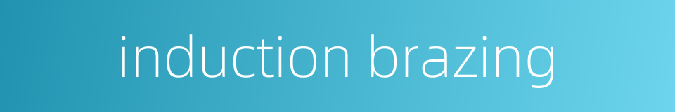 induction brazing的同义词