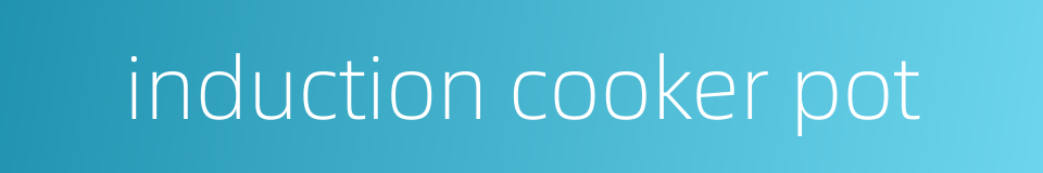 induction cooker pot的同义词