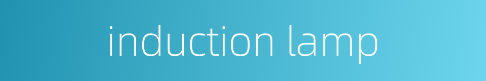 induction lamp的同义词