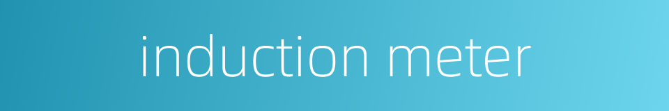 induction meter的同义词