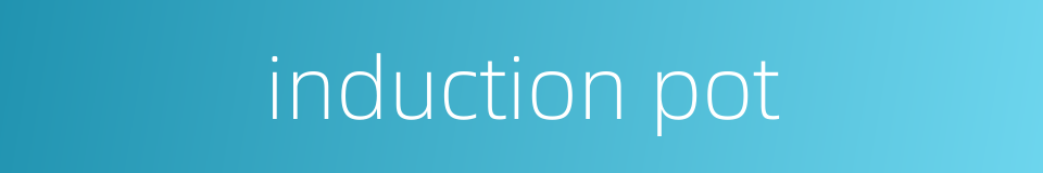 induction pot的同义词