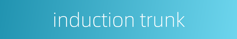 induction trunk的同义词