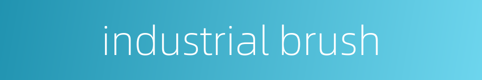 industrial brush的同义词