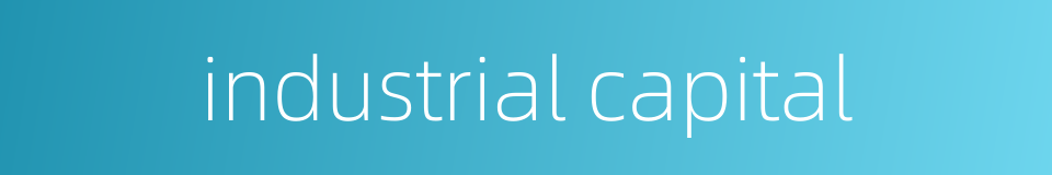 industrial capital的同义词