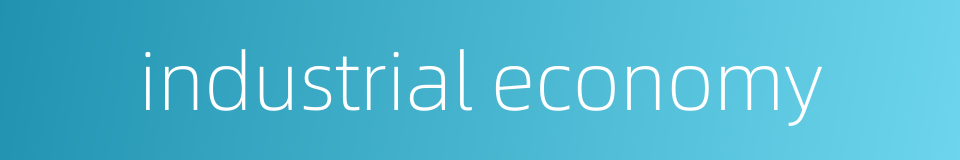industrial economy的同义词