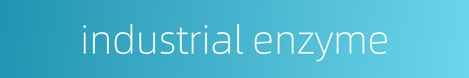 industrial enzyme的同义词