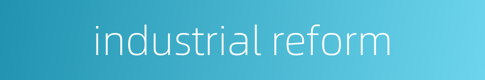 industrial reform的同义词