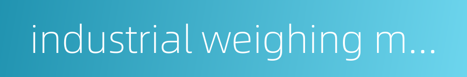 industrial weighing machinery的同义词