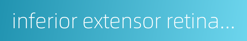 inferior extensor retinaculum的同义词