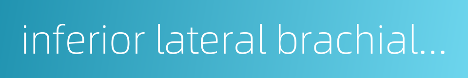inferior lateral brachial cutaneous nerve的同义词