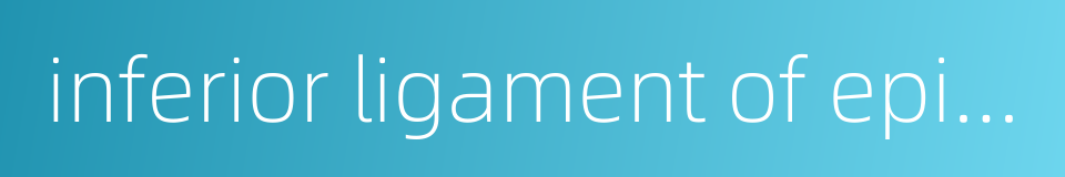 inferior ligament of epididymis的同义词