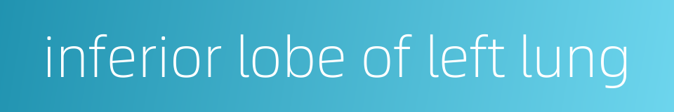 inferior lobe of left lung的同义词