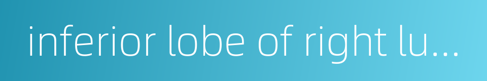 inferior lobe of right lung的同义词