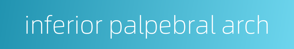 inferior palpebral arch的同义词