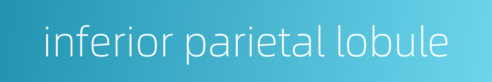 inferior parietal lobule的同义词