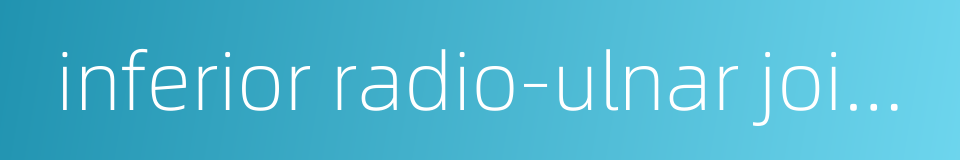 inferior radio-ulnar joints的同义词