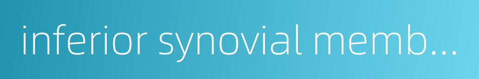 inferior synovial membrane的同义词