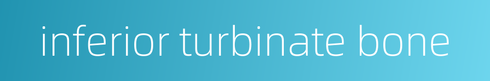 inferior turbinate bone的同义词