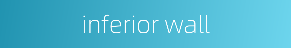 inferior wall的同义词