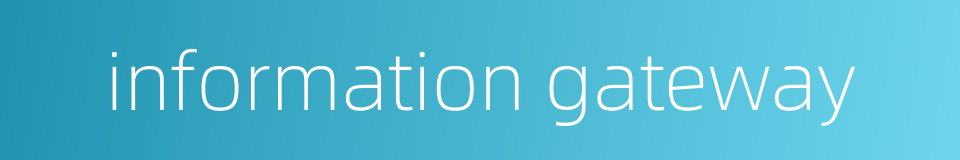 information gateway的同义词