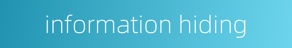 information hiding的同义词