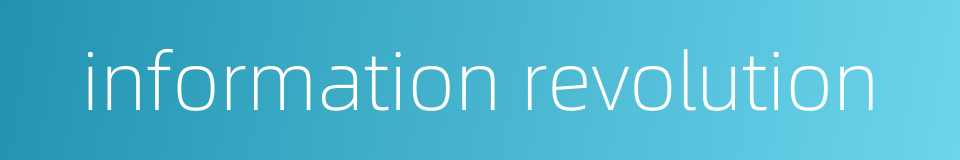 information revolution的同义词
