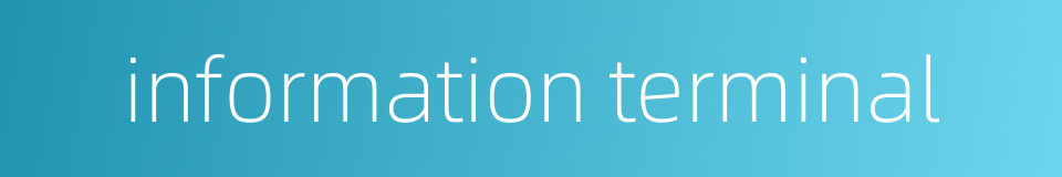 information terminal的同义词