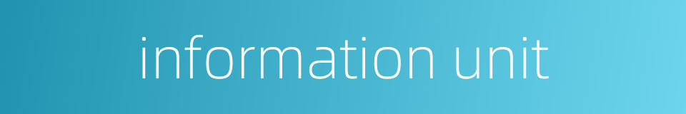 information unit的同义词