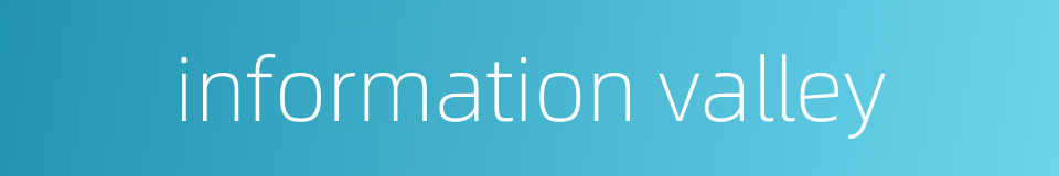 information valley的同义词